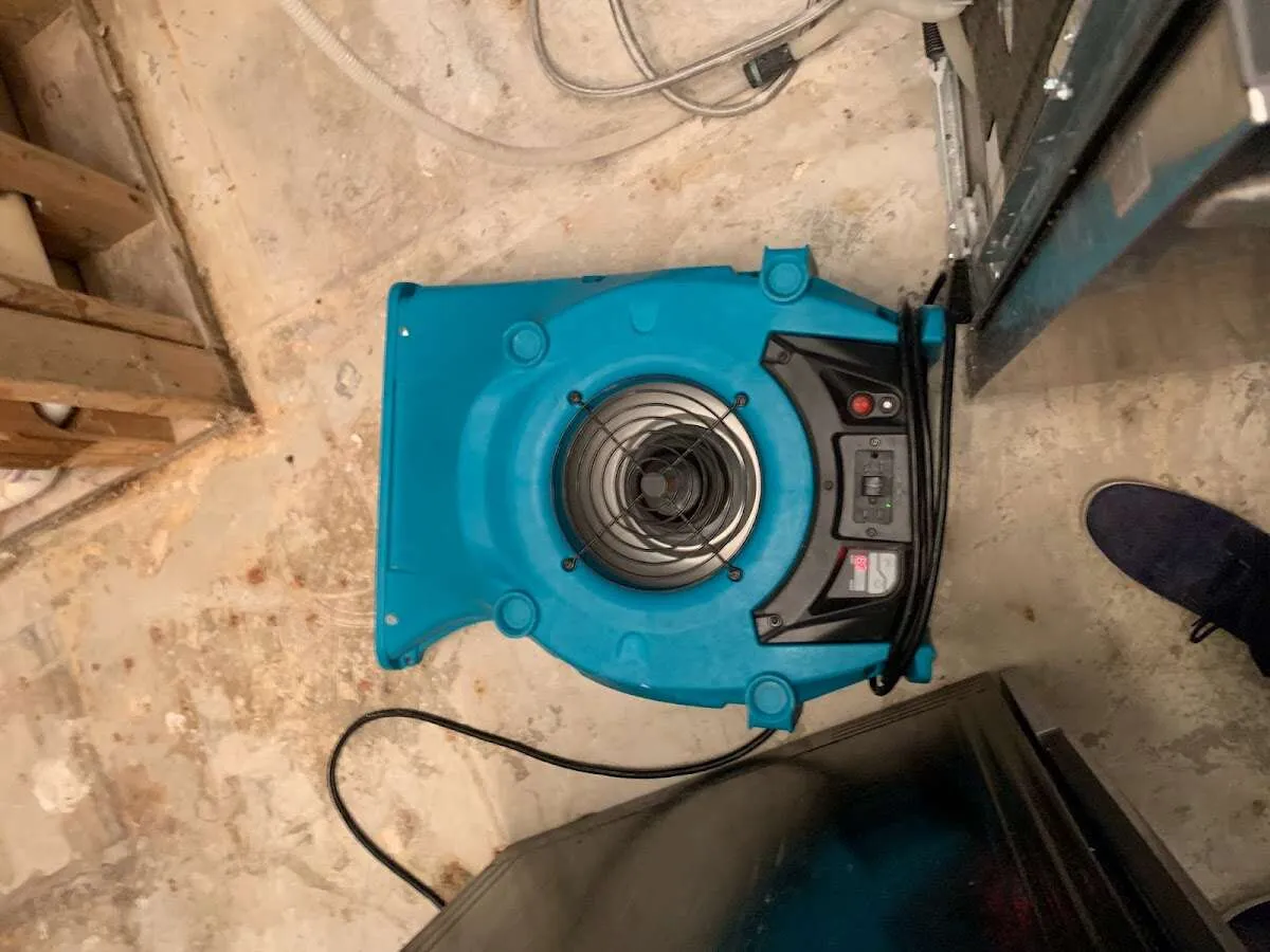 Air mover drying equipment for Mold Remediation & Removal in Georges